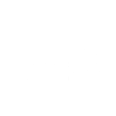 GES-1